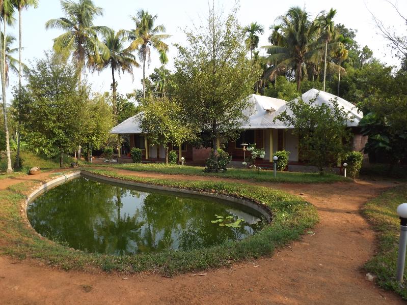 Namaste Ayurvedic Wellness Centre – Chalakkudy