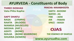 Ayur Sudha Super Speciality Ayurveda Centre – New Model Town