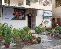 Amaltas Ayurveda – Ayurveda & Panchakarma Treatment Clinic | Accepting CGHS & DGHS – Dwarka